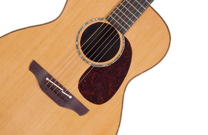 Akustična Gitara Takamine TAN76C
