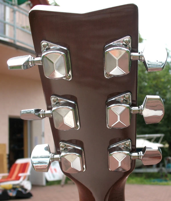 Akustična Gitara Yamaha F310P