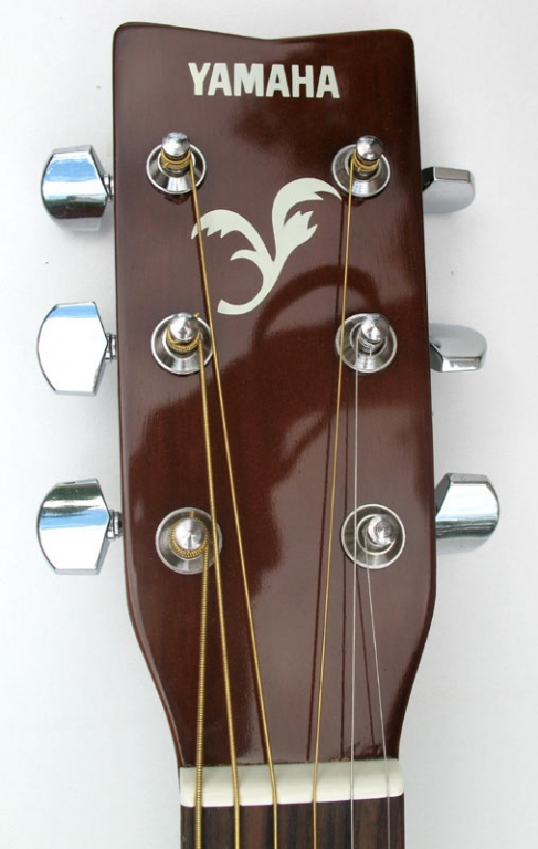 Akustična Gitara Yamaha F310P