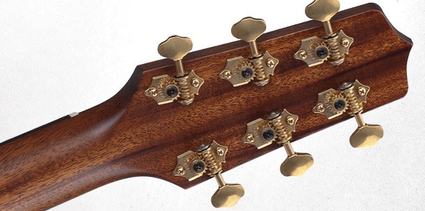 Akustična Gitara Takamine TF360SBG-MAG