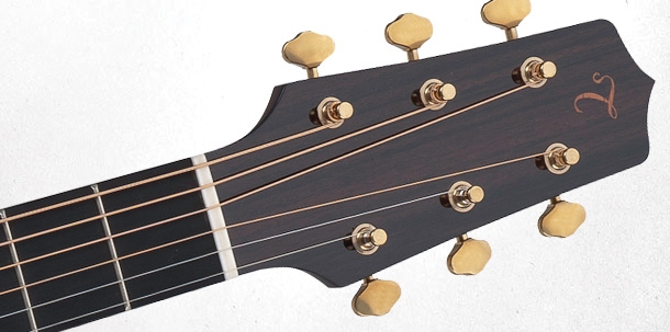 Akustična Gitara Takamine TF360SBG-MAG
